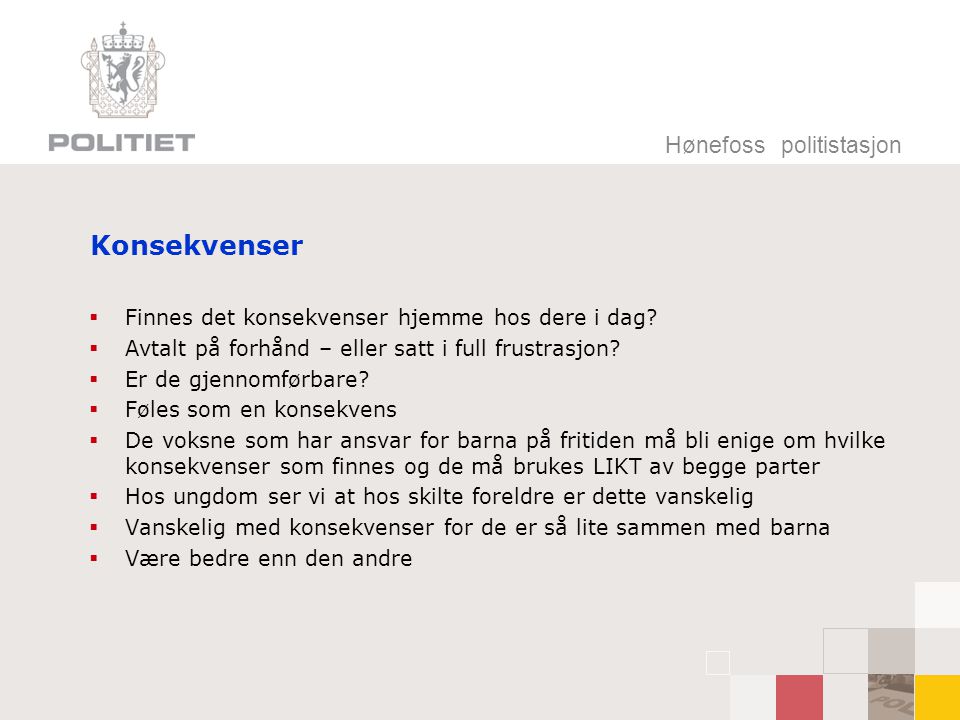 Konsekvenser Hønefoss politistasjon