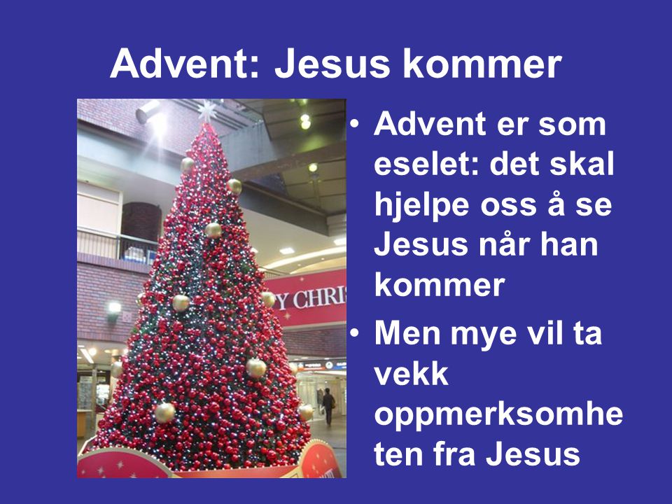 Advent: Jesus kommer Advent er som eselet: det skal hjelpe oss å se Jesus når han kommer. Men mye vil ta vekk oppmerksomheten fra Jesus.