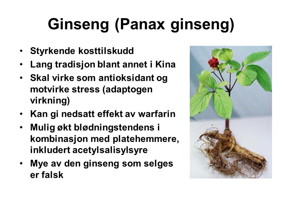 Ginseng (Panax ginseng)