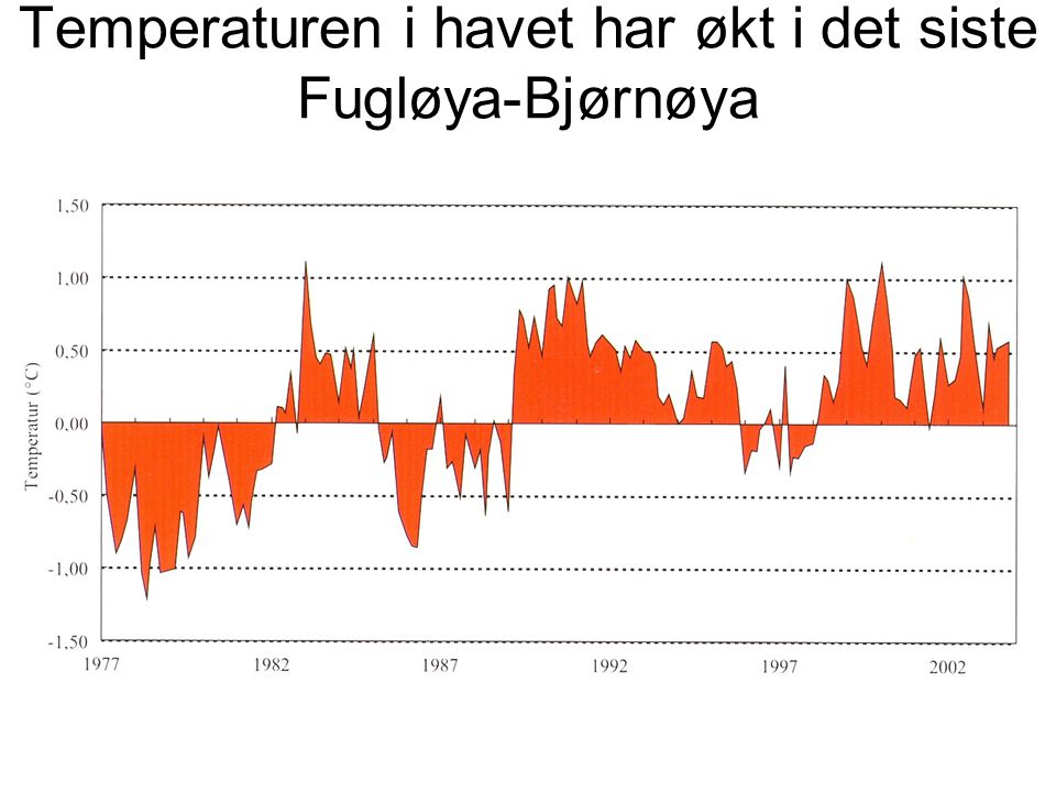 Temperaturen i havet har økt i det siste Fugløya-Bjørnøya