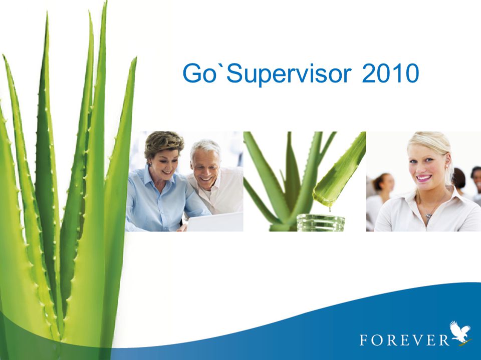 Go`Supervisor 2010