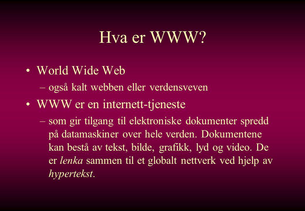 Hva er WWW World Wide Web WWW er en internett-tjeneste