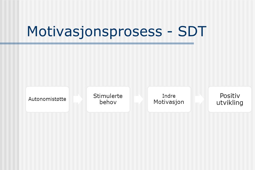 Motivasjonsprosess - SDT