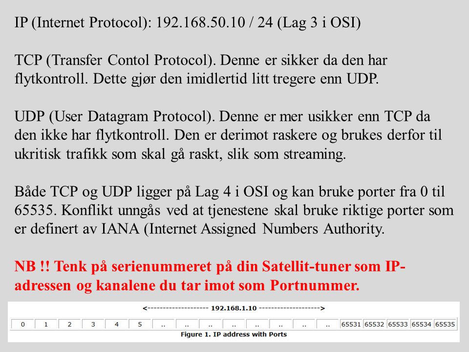 IP (Internet Protocol):
