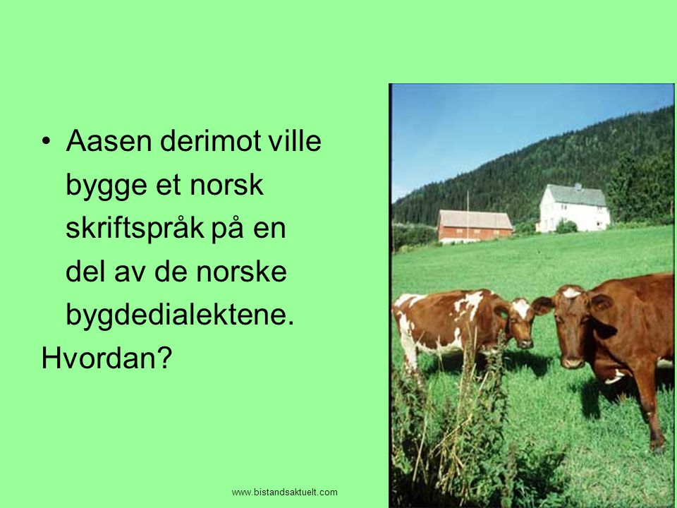 Aasen derimot ville bygge et norsk skriftspråk på en del av de norske
