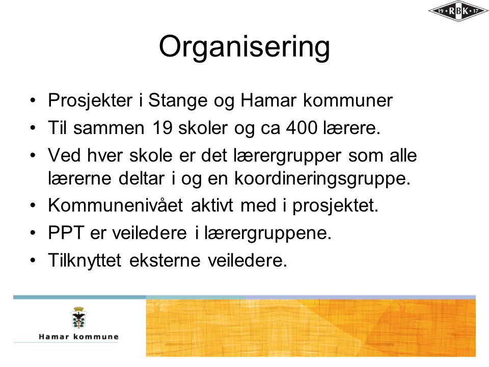 Organisering Prosjekter i Stange og Hamar kommuner