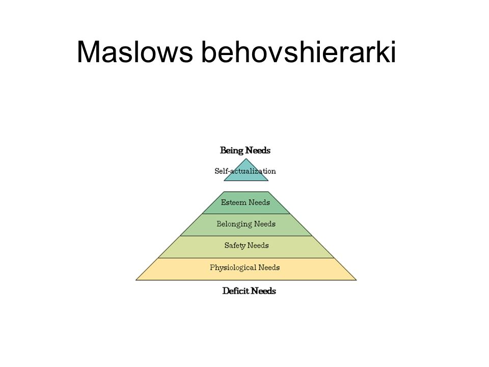 Maslows behovshierarki