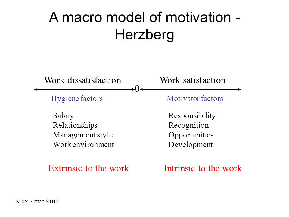 A macro model of motivation - Herzberg