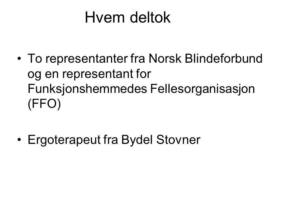 Hvem deltok To representanter fra Norsk Blindeforbund og en representant for Funksjonshemmedes Fellesorganisasjon (FFO)