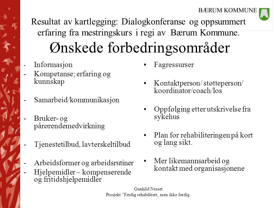 Resultat av kartlegging: Dialogkonferanse og oppsummert erfaring fra mestringskurs i regi av Bærum Kommune. Ønskede forbedringsområder