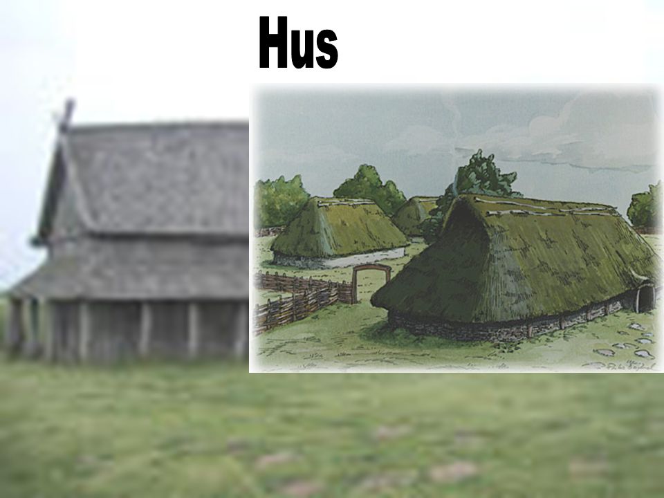 Hus Vikingene bodde i langhus.