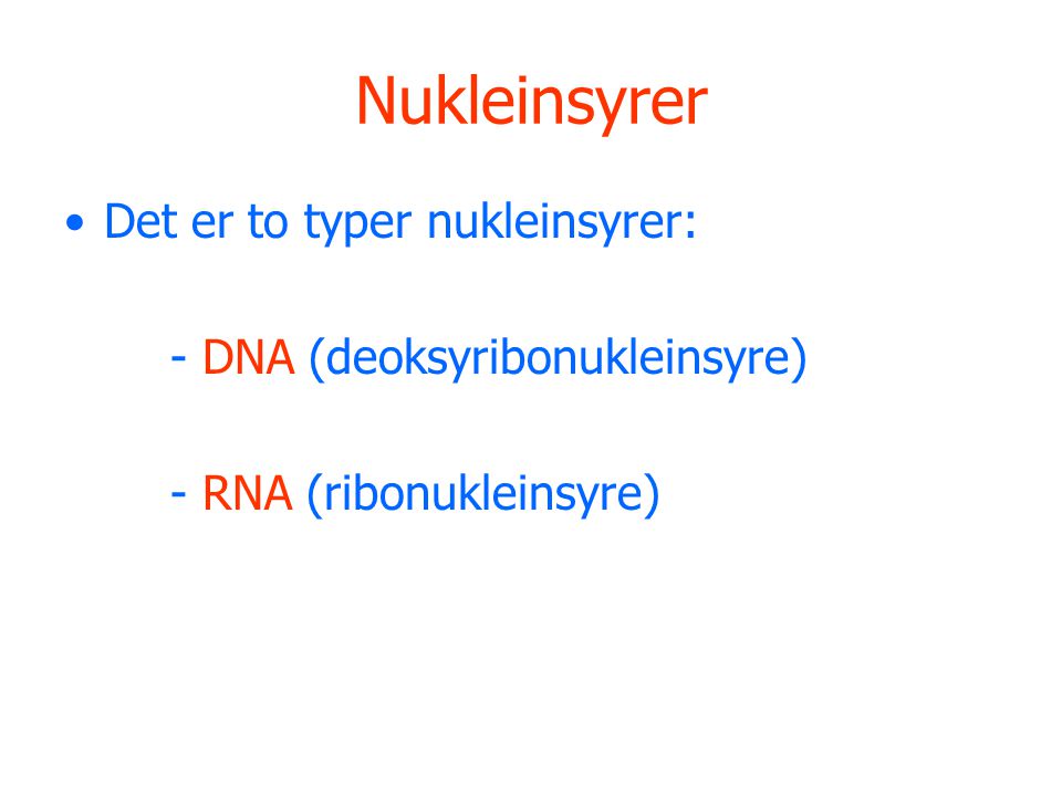 Nukleinsyrer Det er to typer nukleinsyrer: