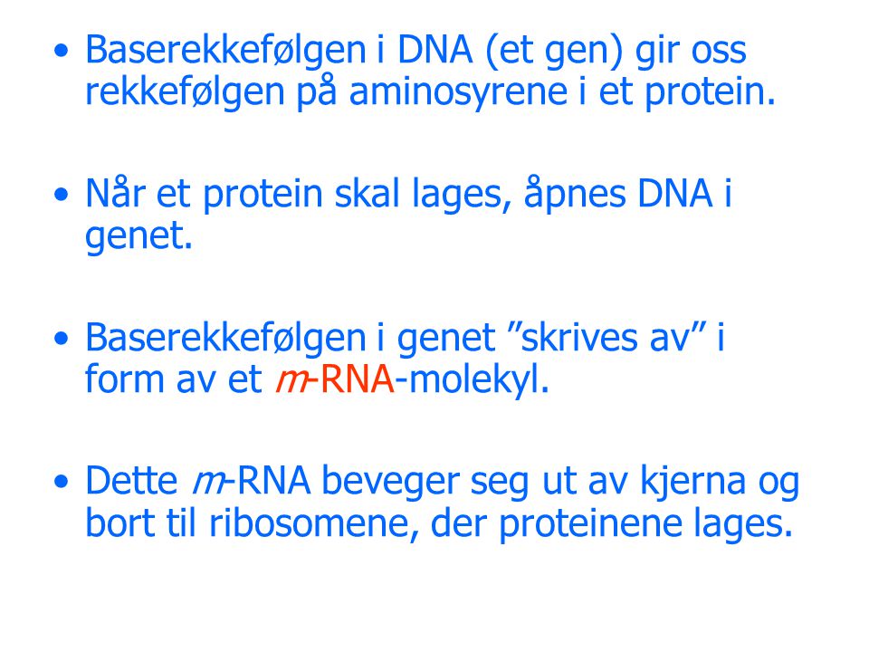 Baserekkefølgen i DNA (et gen) gir oss rekkefølgen på aminosyrene i et protein.