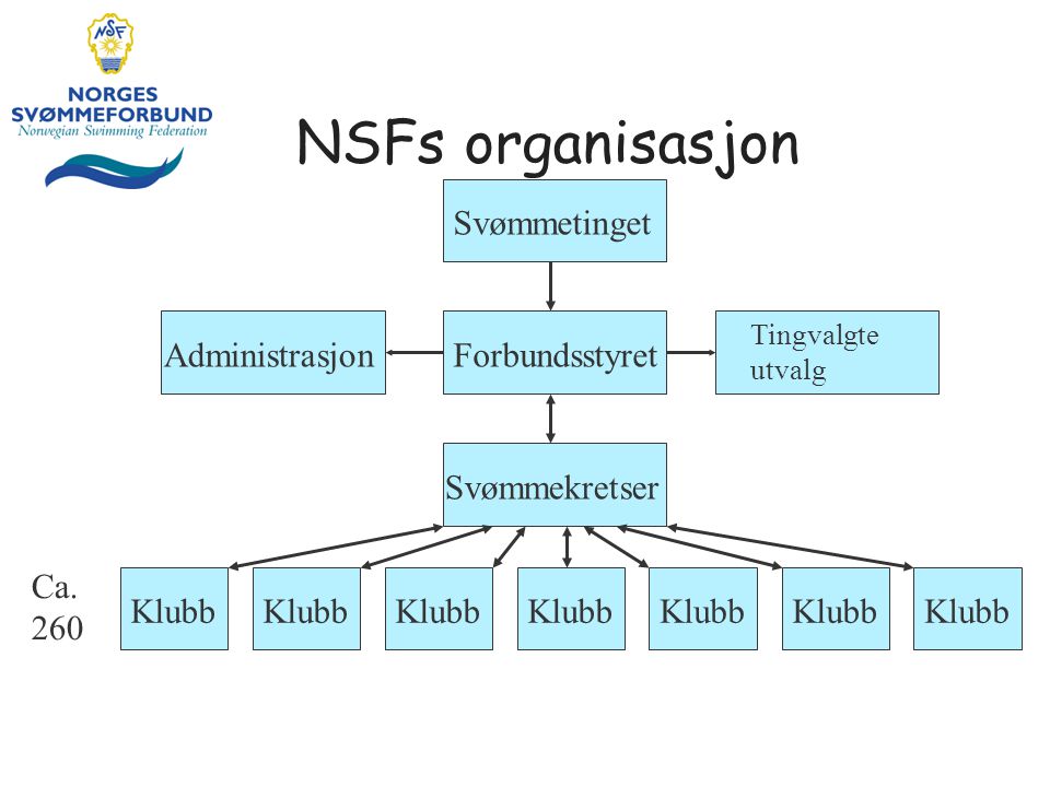 NSFs organisasjon Svømmetinget Administrasjon Forbundsstyret