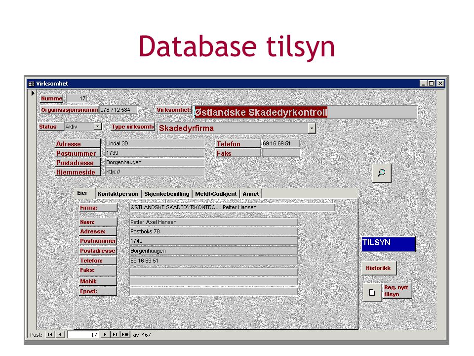 Database tilsyn