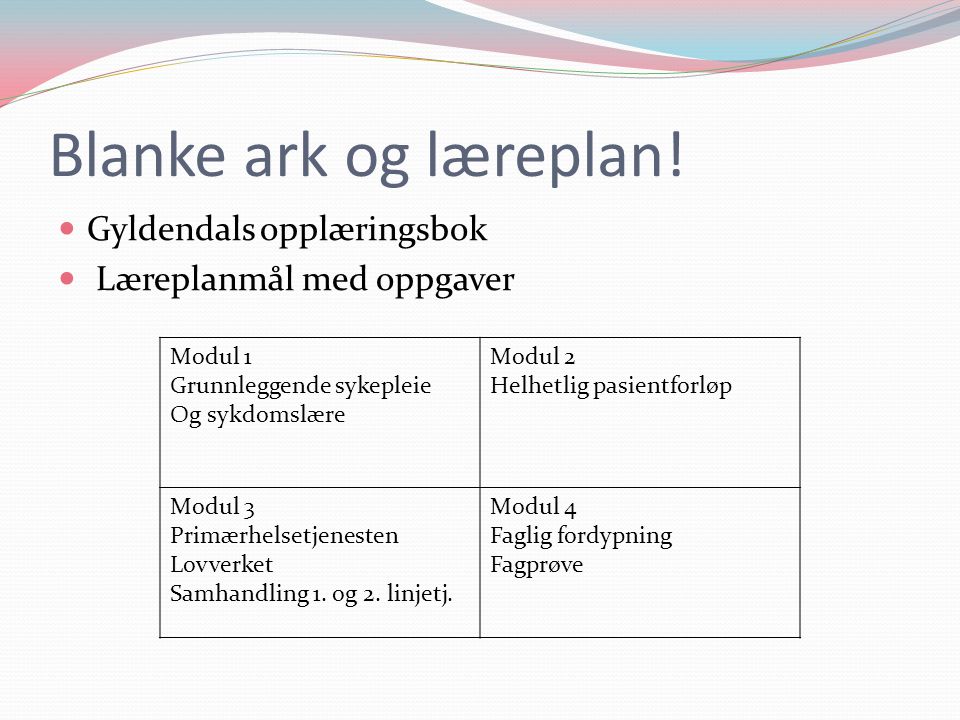 Blanke ark og læreplan! Gyldendals opplæringsbok