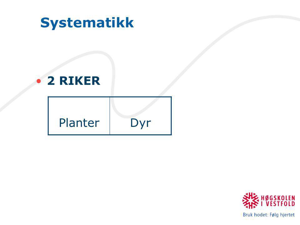 Systematikk 2 RIKER Planter Dyr