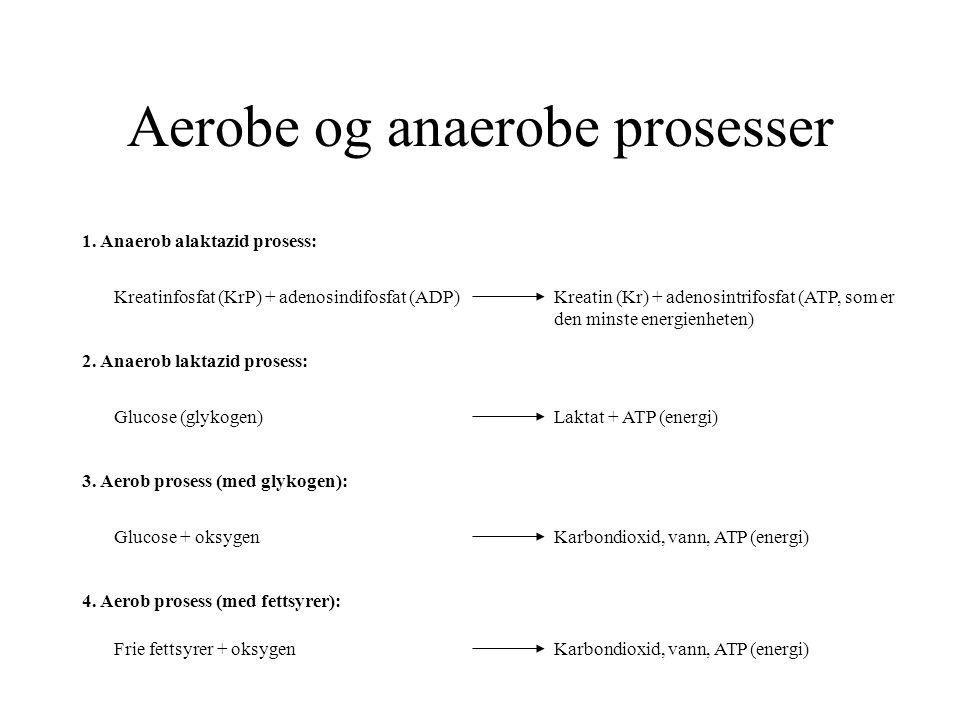 Aerobe og anaerobe prosesser