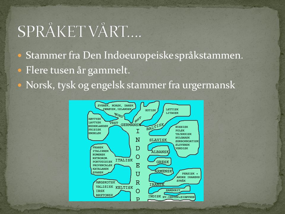 SPRÅKET VÅRT…. Stammer fra Den Indoeuropeiske språkstammen.