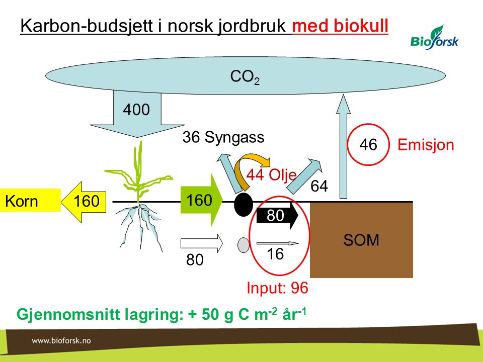 Karbon-budsjett i norsk jordbruk med biokull