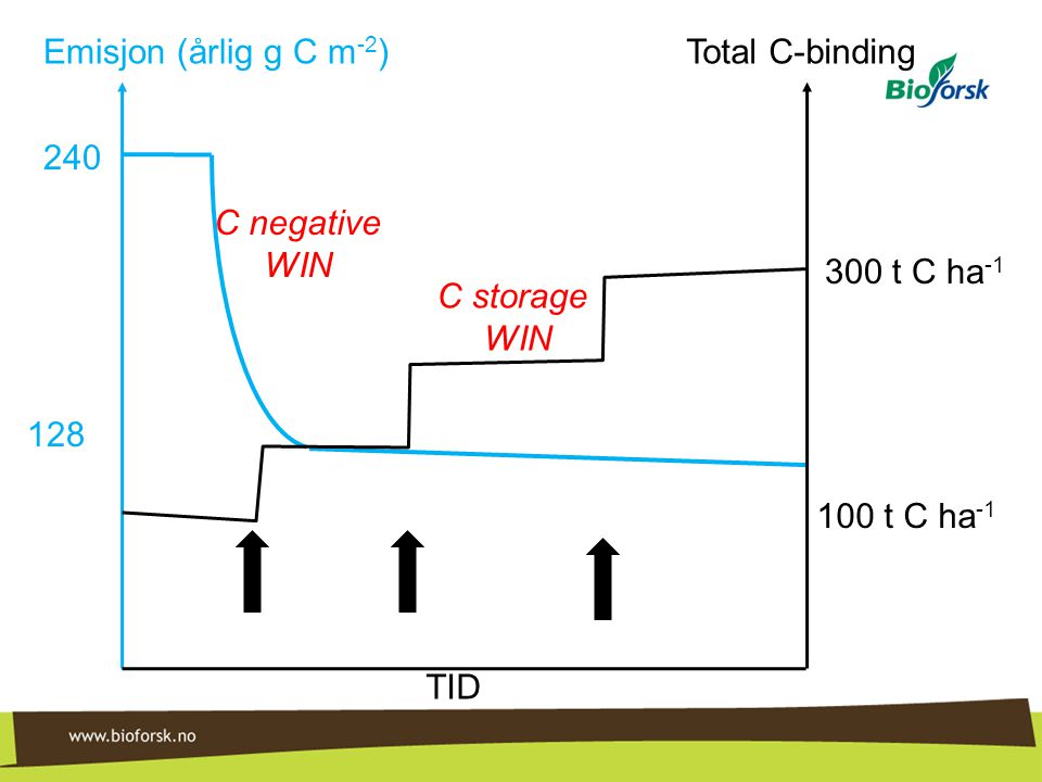 Emisjon (årlig g C m-2) Total C-binding C negative. WIN. 300 t C ha-1. C storage. WIN