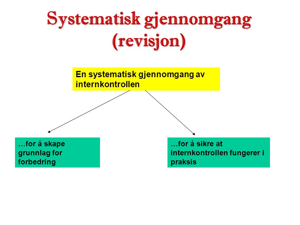 Systematisk gjennomgang (revisjon)