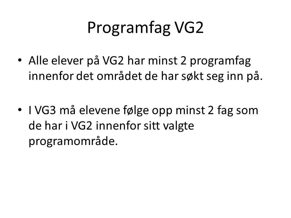 Programfag VG2 Alle elever på VG2 har minst 2 programfag innenfor det området de har søkt seg inn på.