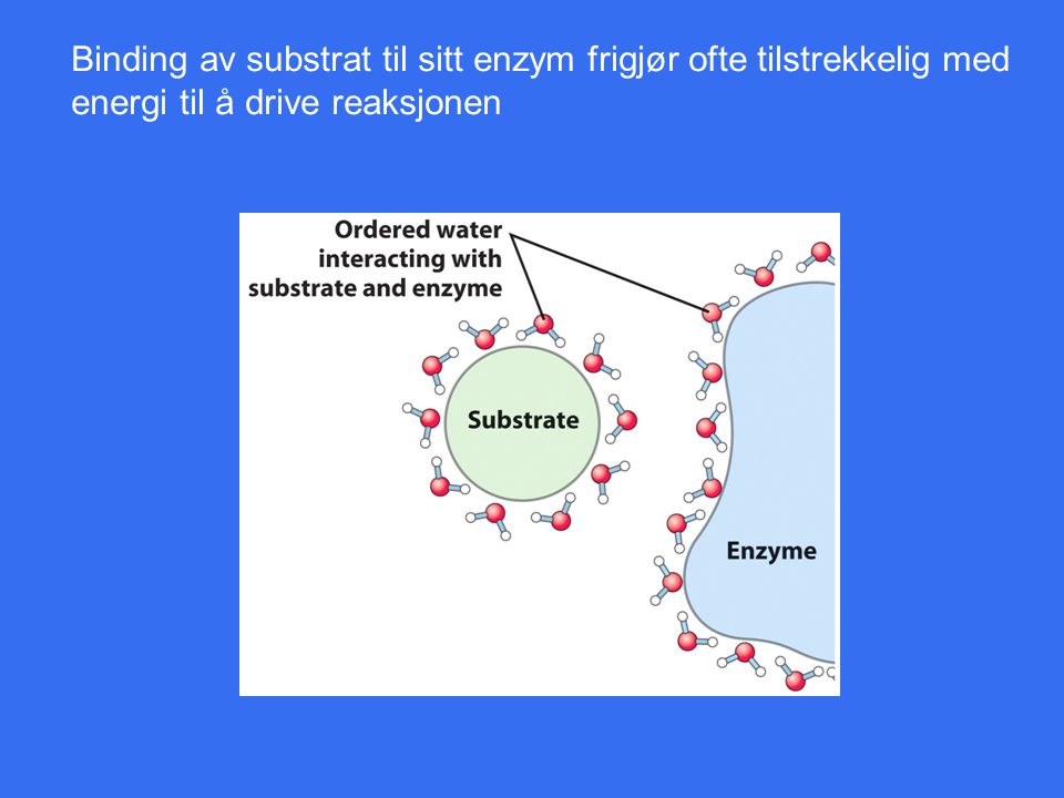 Binding av substrat til sitt enzym frigjør ofte tilstrekkelig med
