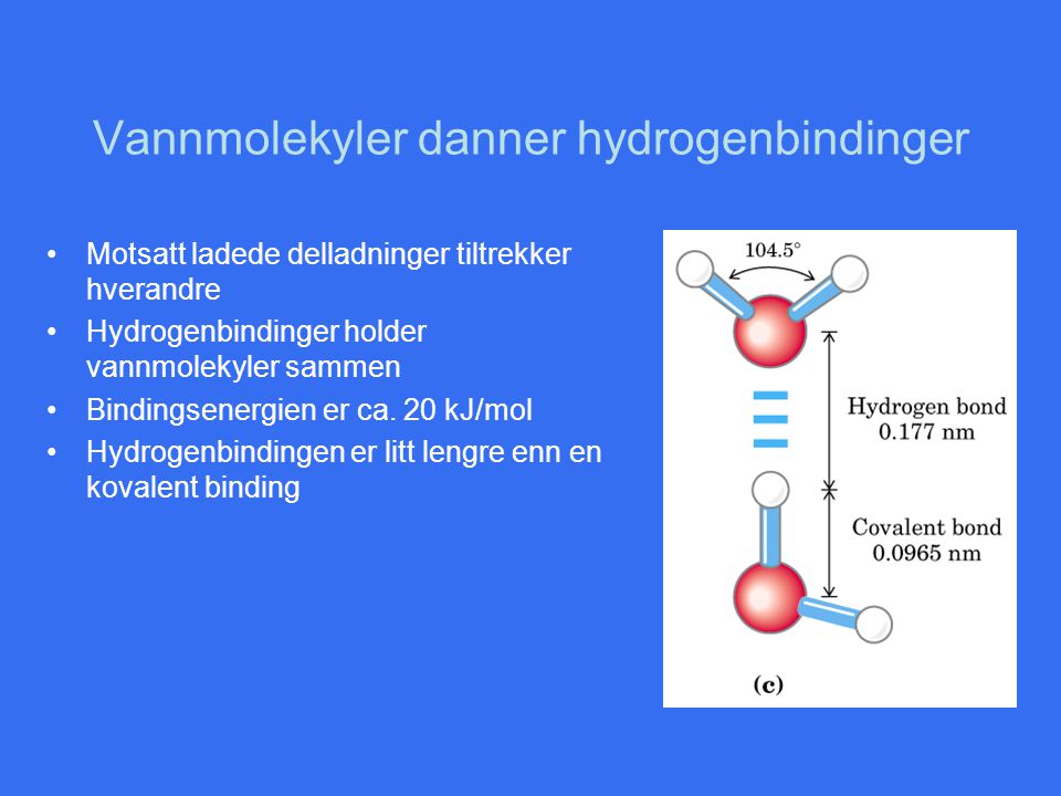 Vannmolekyler danner hydrogenbindinger