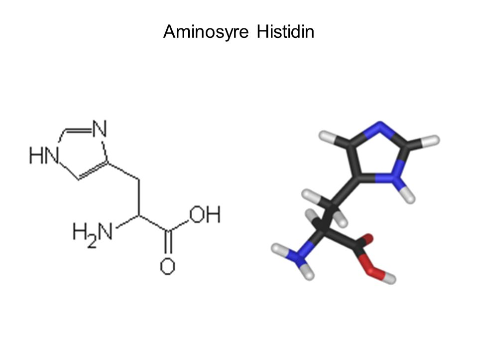 Aminosyre Histidin