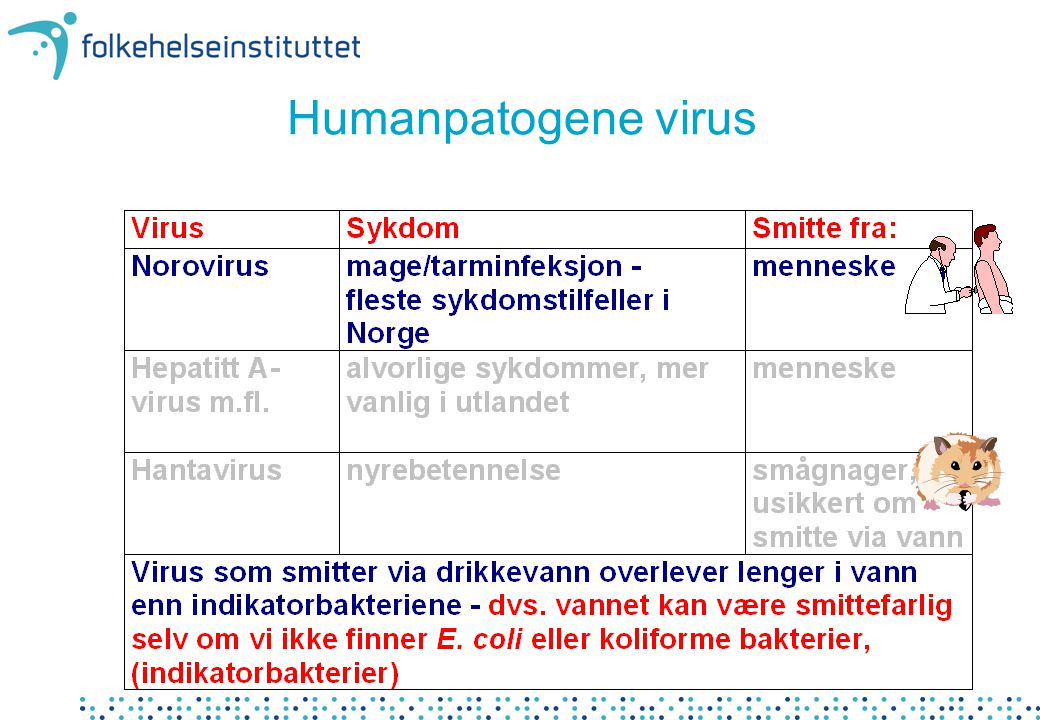 Humanpatogene virus