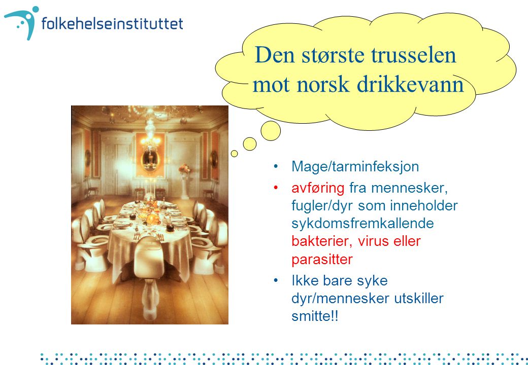 Den største trusselen mot norsk drikkevann Mage/tarminfeksjon