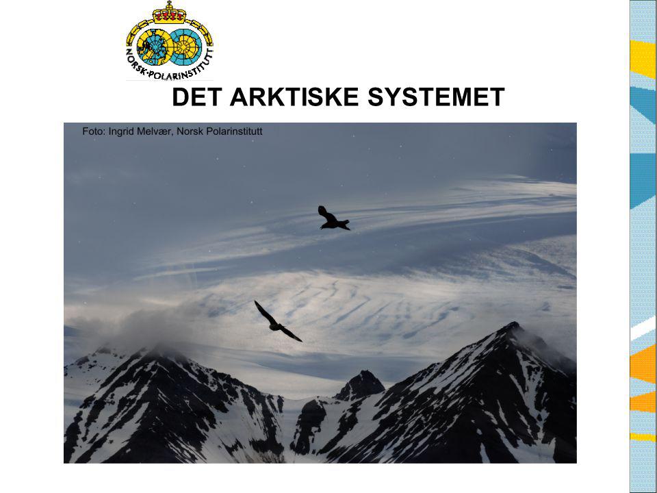 DET ARKTISKE SYSTEMET Tekst fra side 8 i heftet Det Arktiske System, eller siden Det Arktiske System på