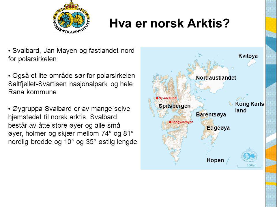 Hva er norsk Arktis Svalbard, Jan Mayen og fastlandet nord for polarsirkelen.