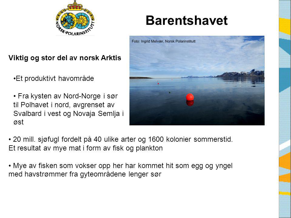 Barentshavet Viktig og stor del av norsk Arktis