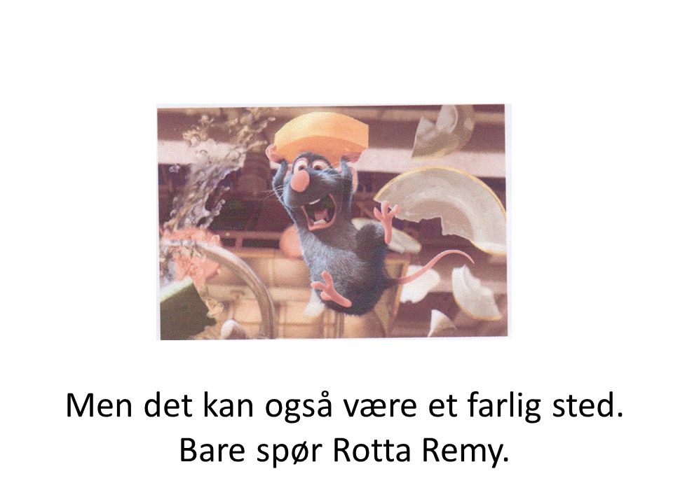Men det kan også være et farlig sted. Bare spør Rotta Remy.