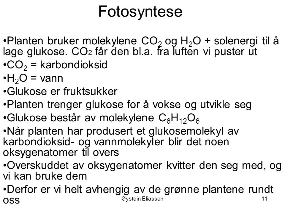 Fotosyntese Planten bruker molekylene CO2 og H2O + solenergi til å lage glukose. CO2 får den bl.a. fra luften vi puster ut.