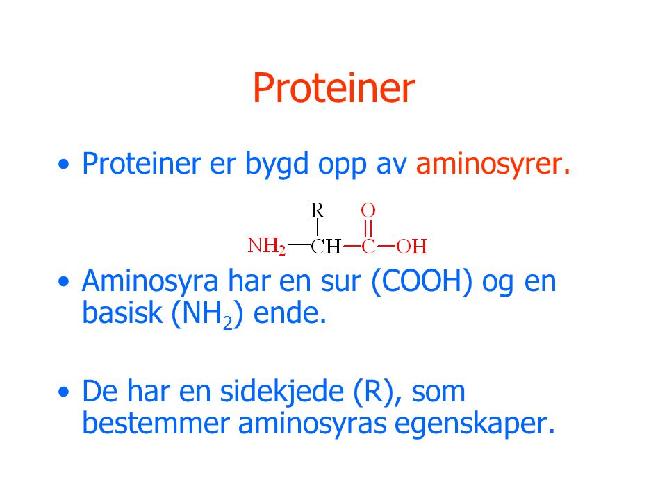 Proteiner Proteiner er bygd opp av aminosyrer.
