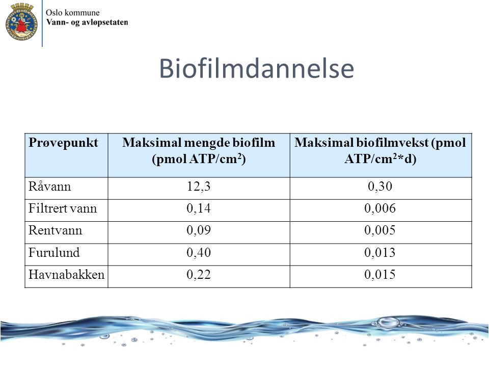 Biofilmdannelse Prøvepunkt Maksimal mengde biofilm (pmol ATP/cm2)