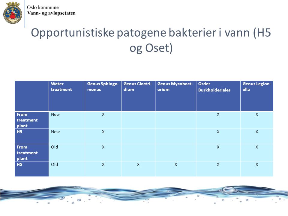 Opportunistiske patogene bakterier i vann (H5 og Oset)