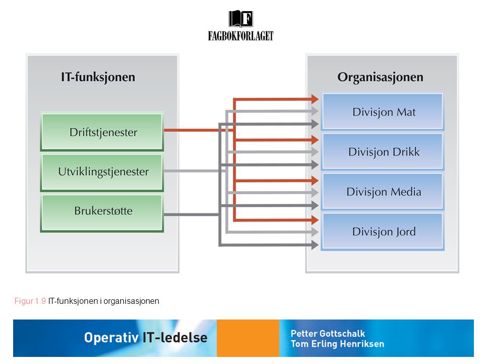 Figur 1.9 IT-funksjonen i organisasjonen