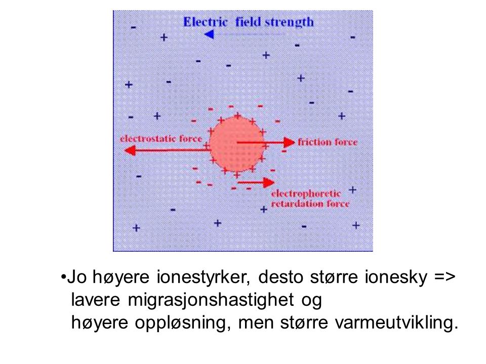 Jo høyere ionestyrker, desto større ionesky =>