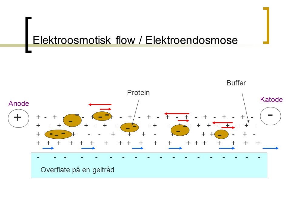 Elektroosmotisk flow / Elektroendosmose