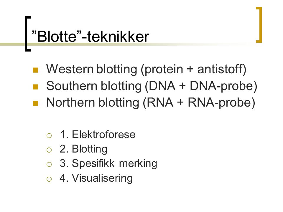 Blotte -teknikker Western blotting (protein + antistoff)