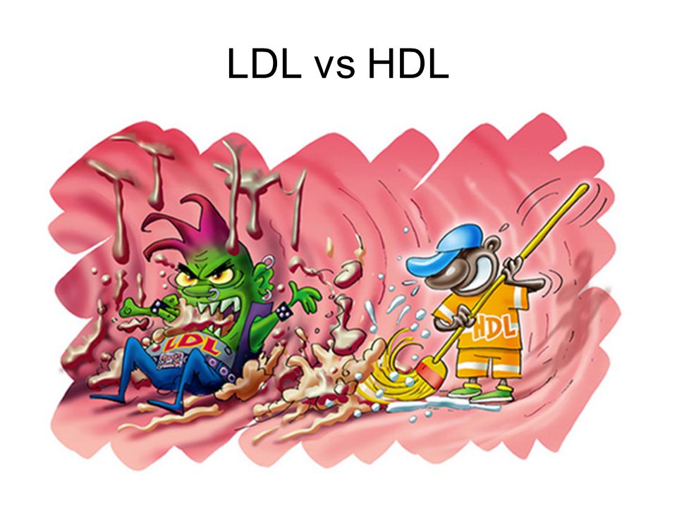 LDL vs HDL