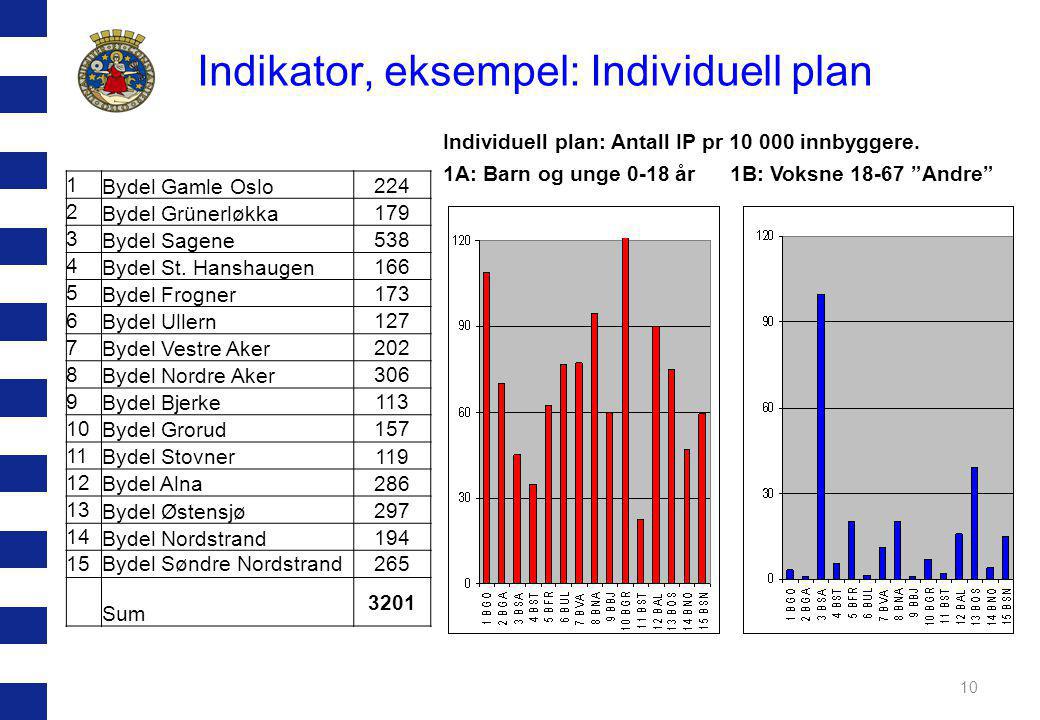 Indikator, eksempel: Individuell plan