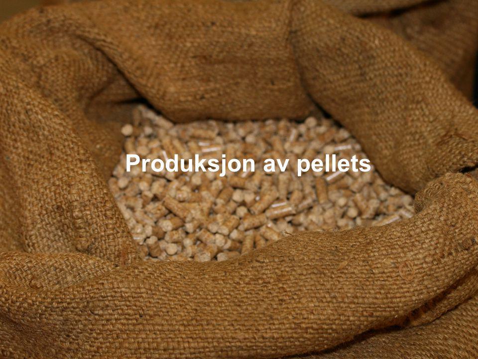 Produksjon av pellets
