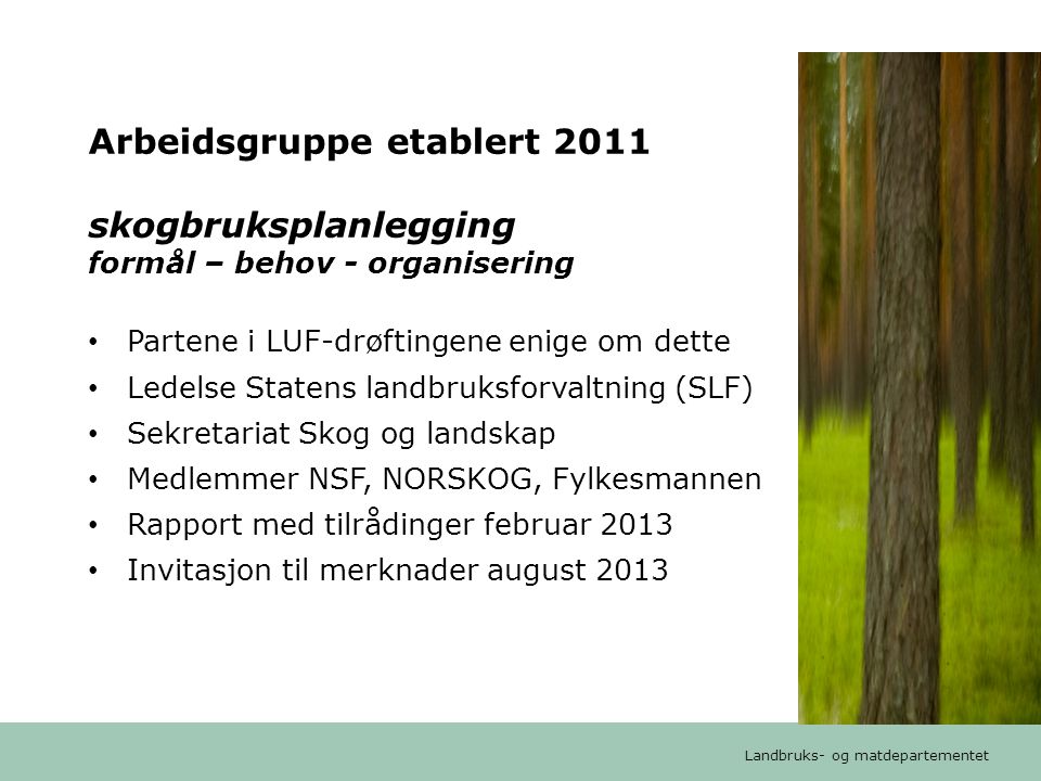 Arbeidsgruppe etablert 2011 skogbruksplanlegging formål – behov - organisering