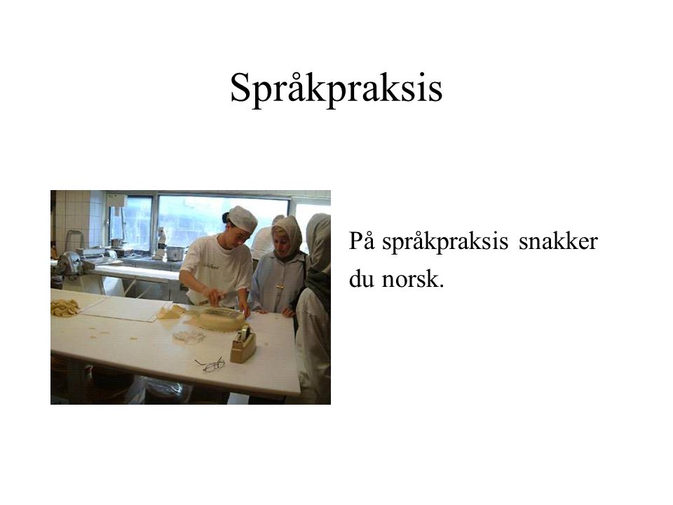 Språkpraksis På språkpraksis snakker du norsk.