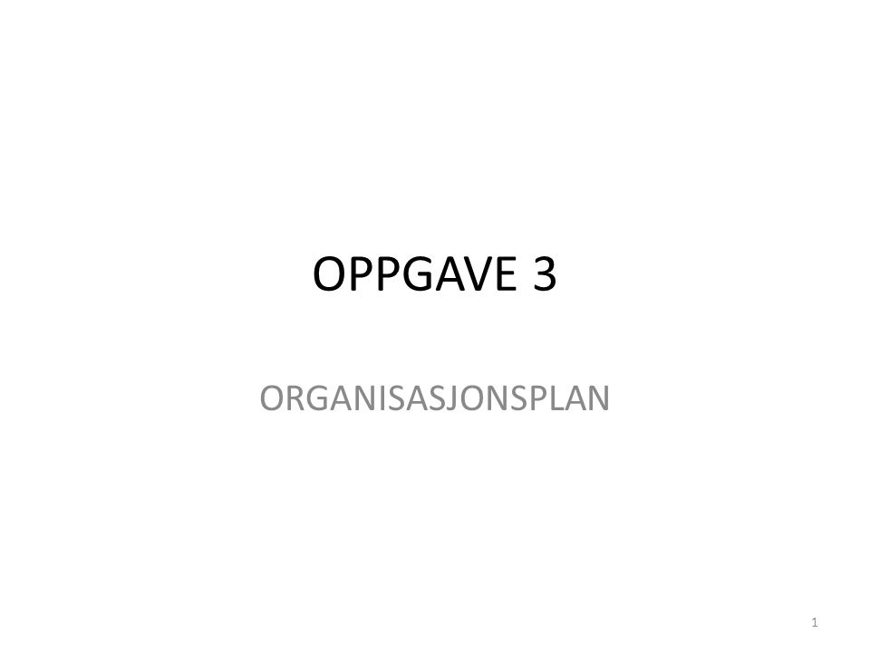 OPPGAVE 3 ORGANISASJONSPLAN